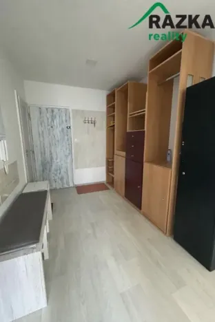 Pronájem bytu 3+1, Planá, Fučíkova, 60 m2