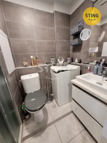 Pronájem bytu 1+kk, Opava, Antonína Sovy, 21 m2