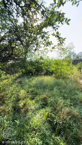 Dražba pozemku pro bydlení, Dubá, 226 m2