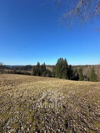 Prodej louky, Bozkov, 14441 m2