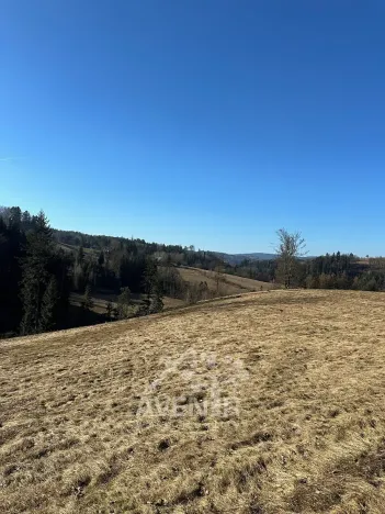 Prodej louky, Bozkov, 14441 m2