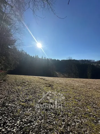 Prodej louky, Bozkov, 14441 m2