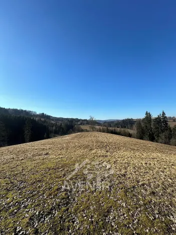 Prodej louky, Bozkov, 14441 m2