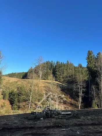 Prodej louky, Bozkov, 14441 m2