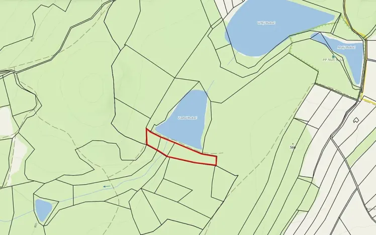 Prodej lesa, Nová Olešná, 9963 m2