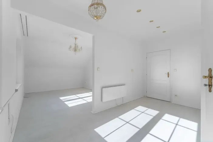 Prodej rodinného domu, Družec, V Zátiší, 289 m2