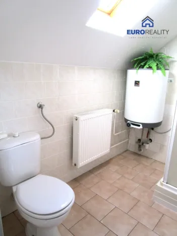 Prodej bytu 5+1, Plzeň - Východní Předměstí, 160 m2