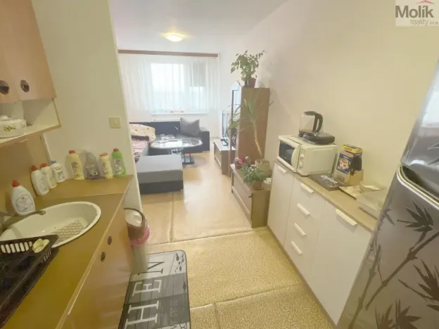 Prodej bytu 2+kk, Litvínov - Janov, Hamerská, 39 m2