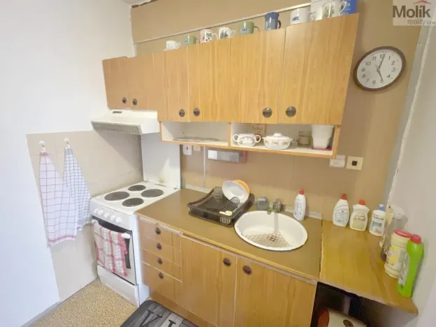 Prodej bytu 2+kk, Litvínov - Janov, Hamerská, 39 m2