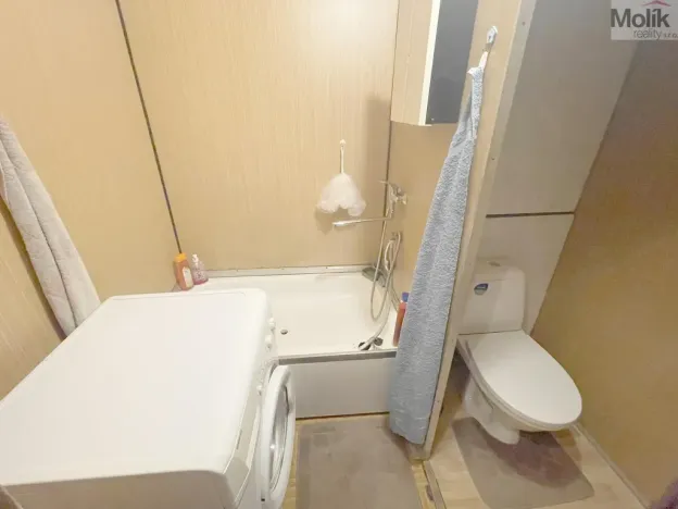 Prodej bytu 2+kk, Litvínov - Janov, Hamerská, 39 m2