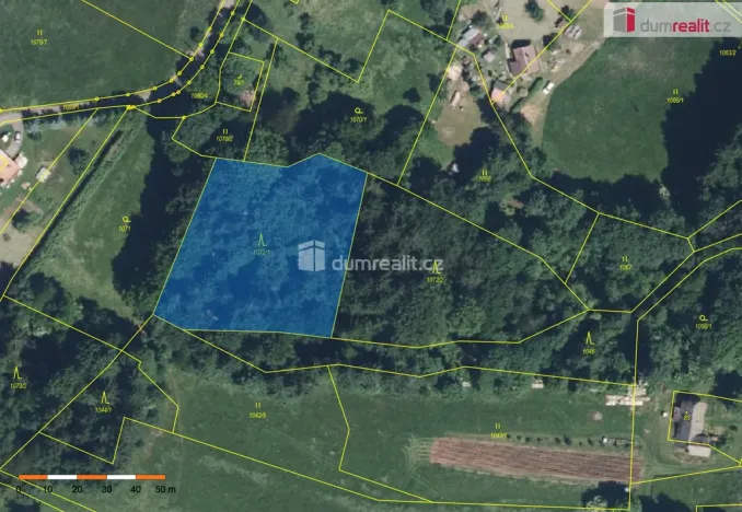 Prodej lesa, Semily - Bítouchov, 3301 m2