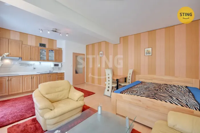 Prodej bytu 1+kk, Luhačovice, Dr. Veselého, 40 m2