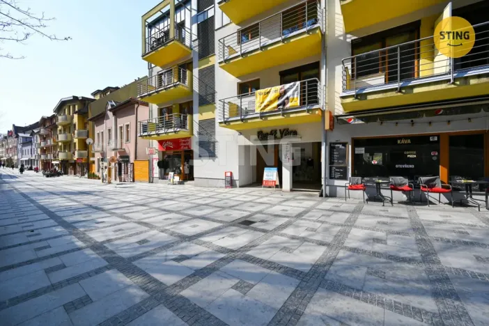 Prodej bytu 1+kk, Luhačovice, Dr. Veselého, 40 m2