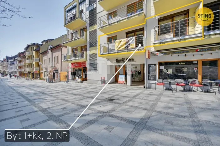 Prodej bytu 1+kk, Luhačovice, Dr. Veselého, 40 m2