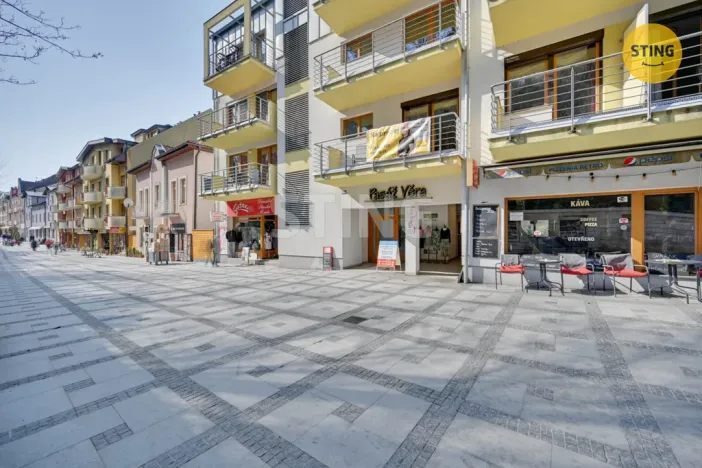 Prodej bytu 1+kk, Luhačovice, Dr. Veselého, 40 m2