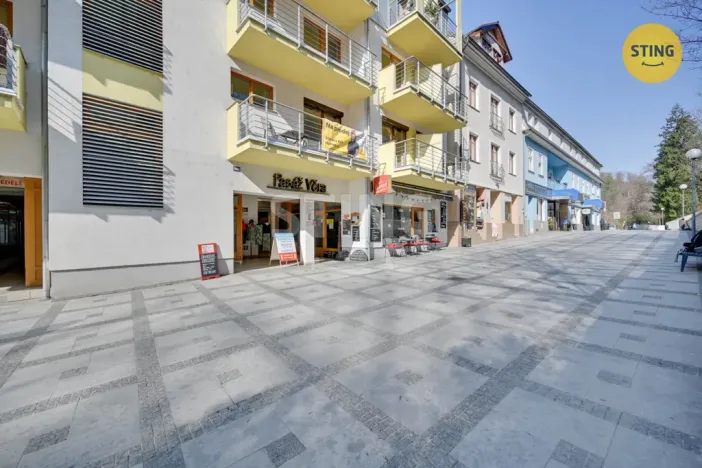 Prodej bytu 1+kk, Luhačovice, Dr. Veselého, 40 m2