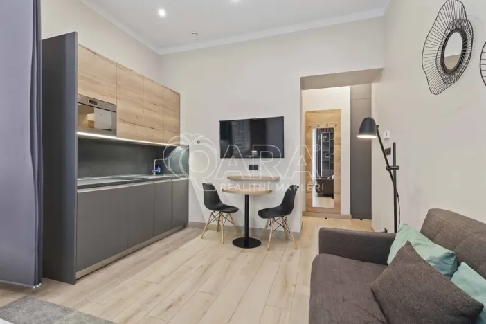 Prodej bytu 2+kk, Praha - Vinohrady, Mánesova, 45 m2