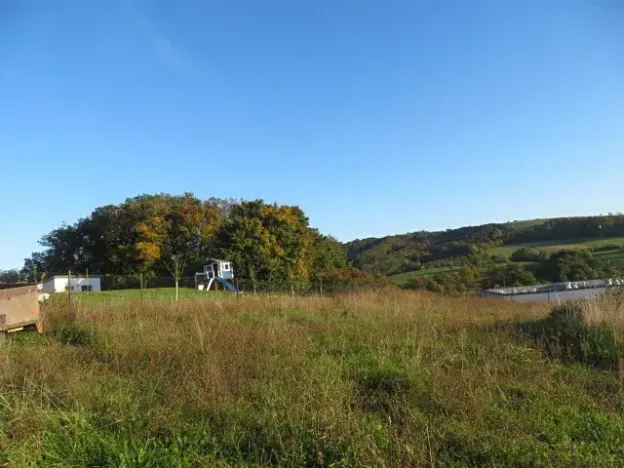 Dražba louky, Březnice, 6503 m2