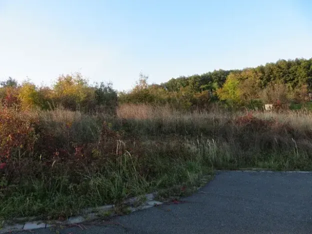 Dražba louky, Březnice, 6503 m2