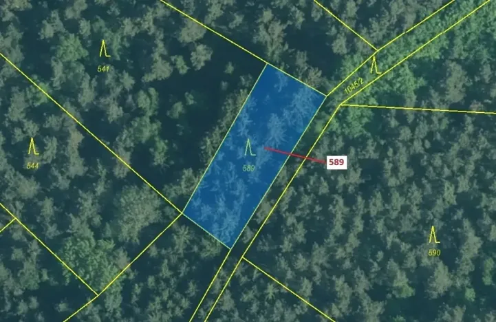 Dražba lesa, Kuřimany, 713 m2