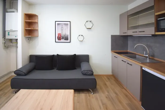 Pronájem bytu 1+kk, Úněšov, 20 m2