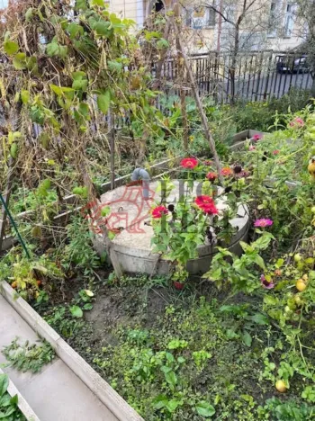 Prodej rodinného domu, Veselíčko, 172 m2