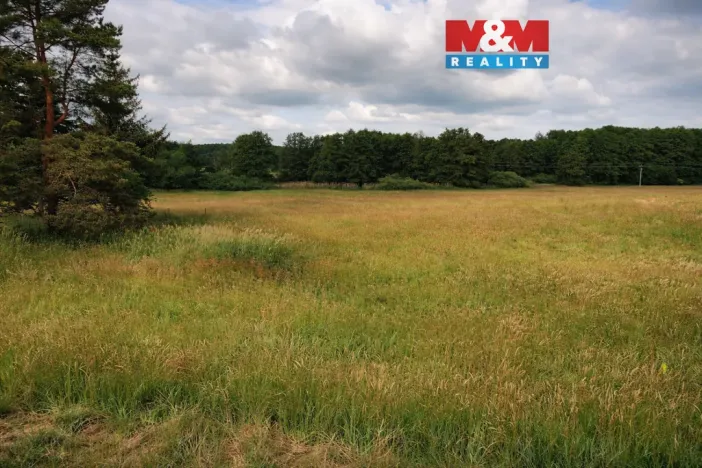 Prodej rybníku, Nový Bor - Pihel, 753 m2