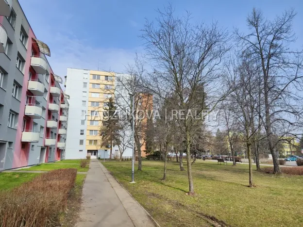 Pronájem bytu 1+1, České Budějovice - České Budějovice 2, J. Opletala, 40 m2