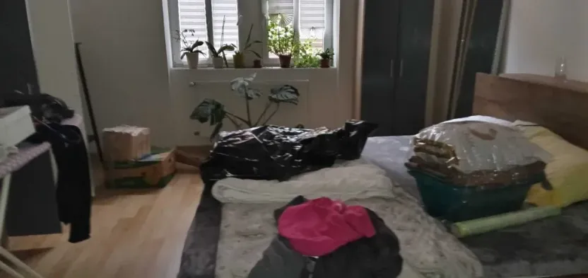 Pronájem bytu 3+kk, Děčín - Děčín IV-Podmokly, Palackého, 75 m2