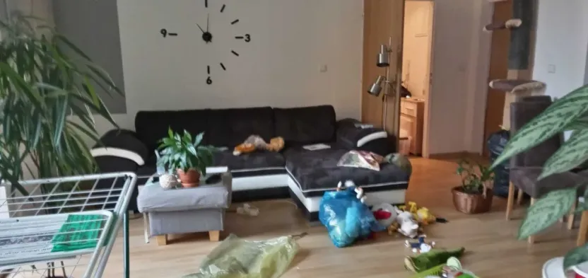 Pronájem bytu 3+kk, Děčín - Děčín IV-Podmokly, Palackého, 75 m2