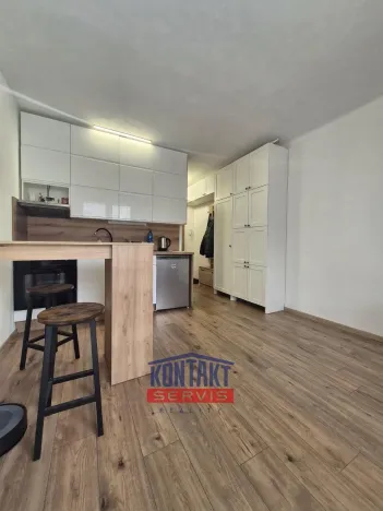 Pronájem bytu 1+kk, České Budějovice, Plzeňská, 21 m2