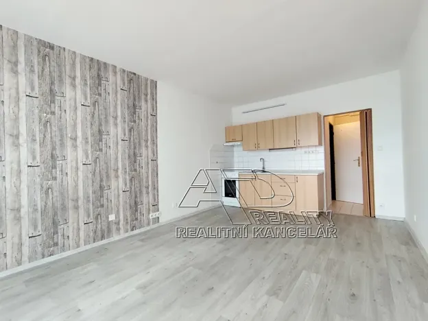 Pronájem bytu 1+kk, České Budějovice, Fr. Ondříčka, 23 m2
