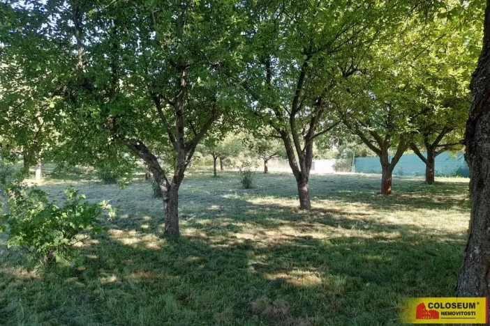 Pronájem zahrady, Vilémovice, 1504 m2