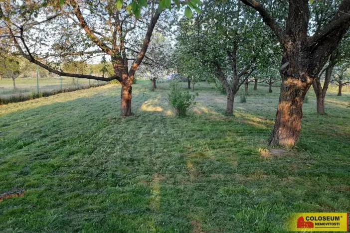 Pronájem zahrady, Vilémovice, 1504 m2