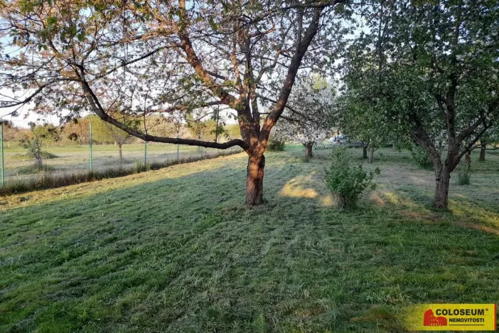 Pronájem zahrady, Vilémovice, 1504 m2