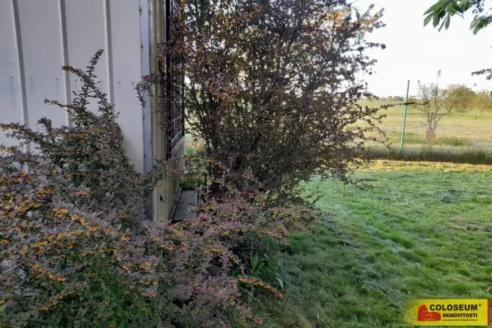 Pronájem zahrady, Vilémovice, 1504 m2