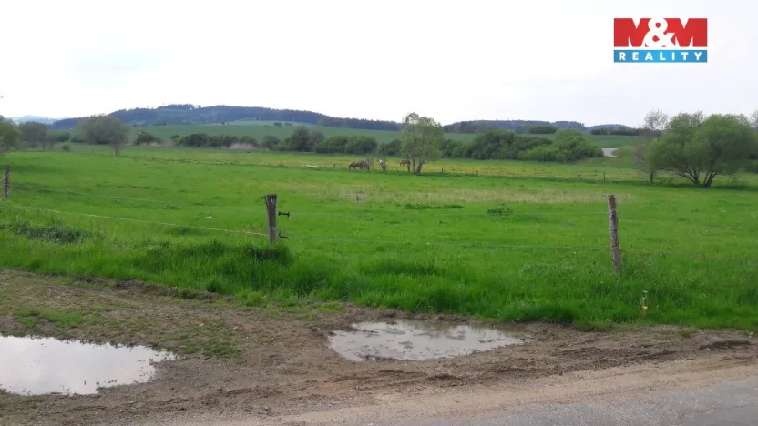 Prodej pole, Zvěstov - Libouň, 12795 m2