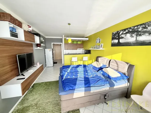 Pronájem bytu 1+kk, Český Těšín, Slezská, 29 m2