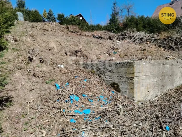 Prodej pozemku pro bydlení, Pastviny, 362 m2