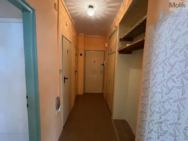 Prodej bytu 2+1, Most, Maxe Švabinského, 54 m2