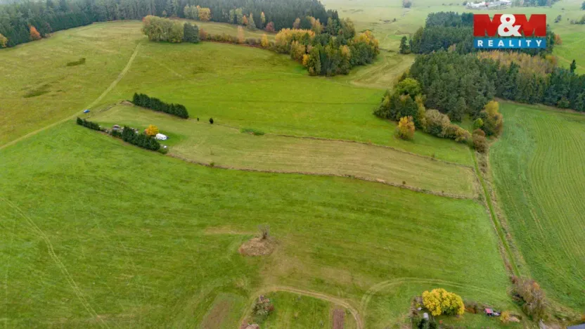 Prodej louky, Zdíkov - Masákova Lhota, 5959 m2