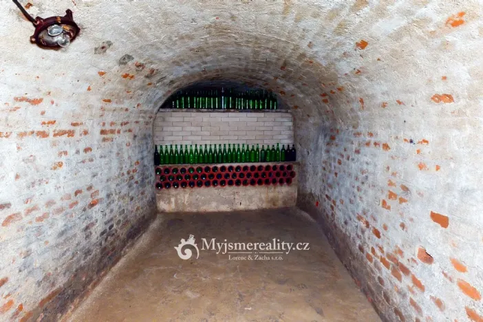 Prodej obchodního prostoru, Znojmo, Horní Česká, 300 m2