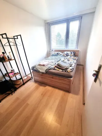 Pronájem bytu 3+1, Pardubice, Bělehradská, 60 m2