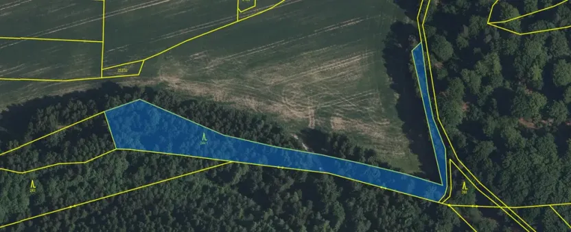 Prodej lesa, Volfířov - Brandlín, 3426 m2