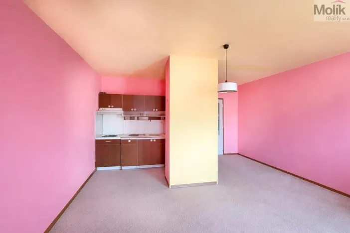 Prodej bytu 1+kk, Ústí nad Labem - Krásné Březno, Obvodová, 32 m2