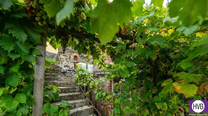 Pronájem rodinného domu, Holubice, V Průhonu, 170 m2