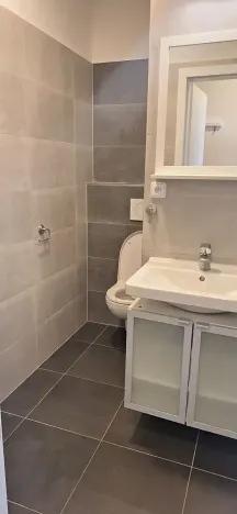 Pronájem bytu 1+1, Brno, Srbská, 35 m2