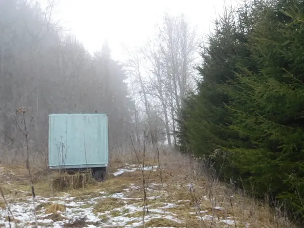 Dražba louky, Horní Planá, 3804 m2