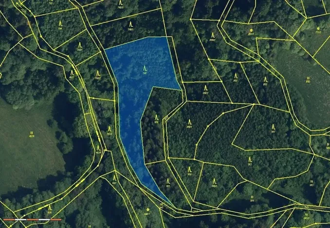 Dražba lesa, Záhoří, 3816 m2