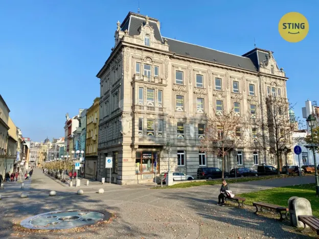 Pronájem obchodního prostoru, Opava, sady Svobody, 270 m2